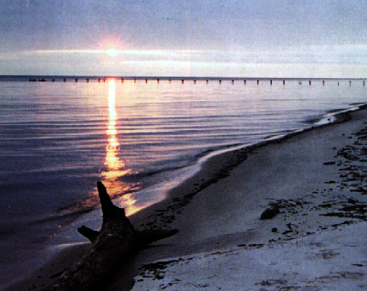 Long Beach